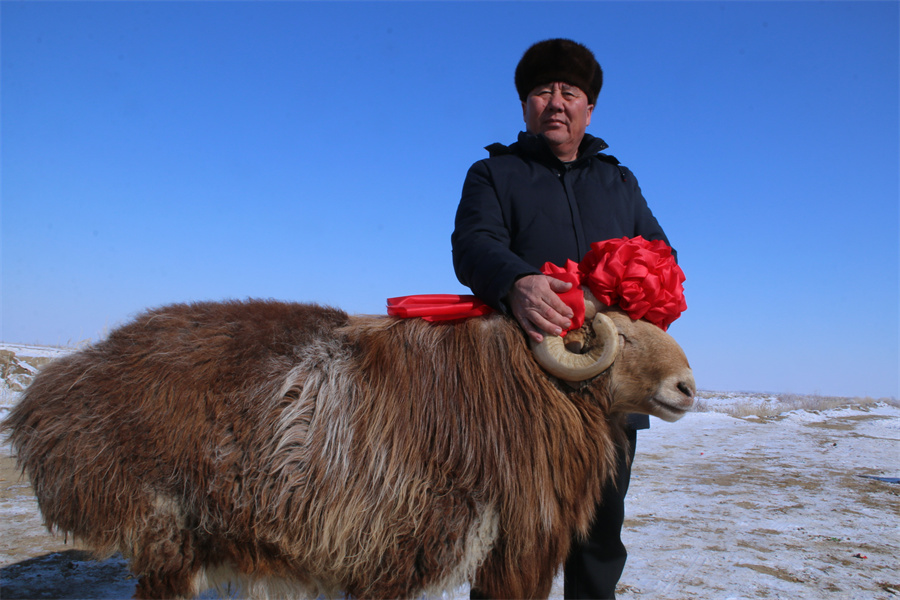 福海县：选出&ldquo;美羊羊&rdquo; 牧民喜洋洋
