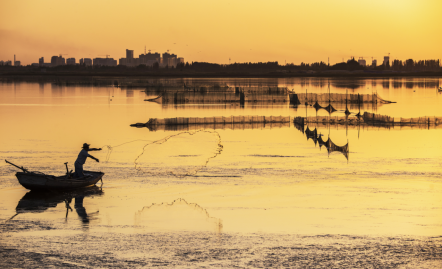 米东区学用&ldquo;千万工程&rdquo;经验&ldquo;摄影看变化&rdquo;摄影展 100幅优秀作品出炉