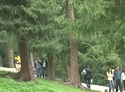 新疆生态工程列入中西部投资产业目录