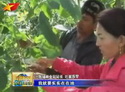 悠悠帮扶情 连通干群心