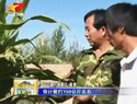 党员结对帮扶助民富