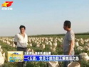一o五团党员干部为职工群众解燃眉之急