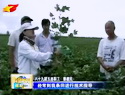 五师八十九团党员帮扶促增收