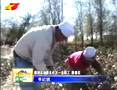 新湖农场党员干部用扎扎实实的行动争当群众的贴心人