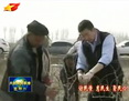 住连干部在劳动中展风采