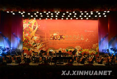 2013新年音乐会正式开始