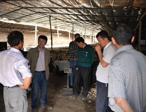 十四团十三连工作组带领群众参观学习大棚蘑菇种植技术