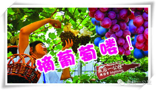 进来看看 | 各种丰收!