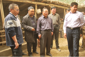 实施品种改良 促进现代畜牧业可持续发展