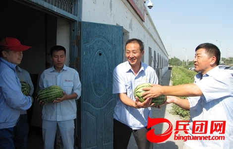 防暑降温 天业物流党委、工会为一线员工送西瓜