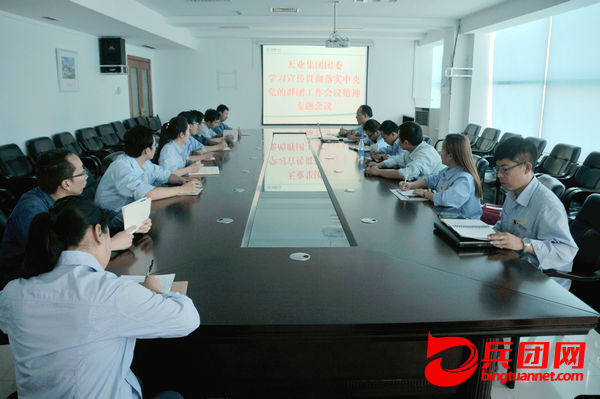 天业集团团委召开学习宣贯中央党的群团工作会