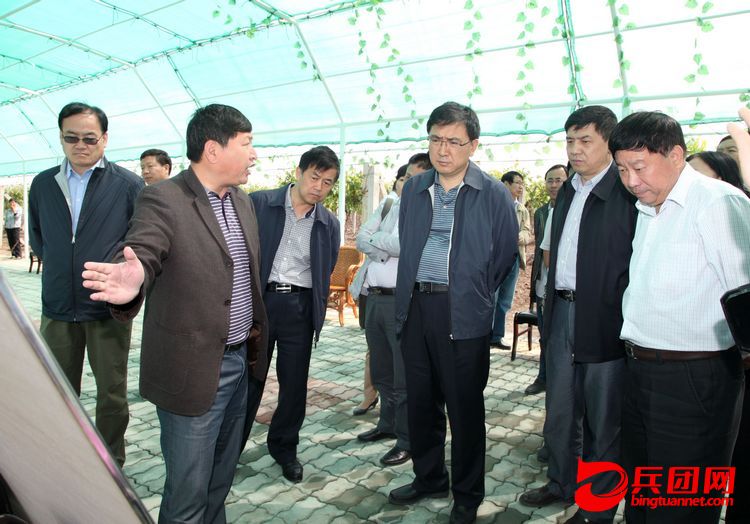 孔星隆在六师一0一团万亩葡萄基地检查指导