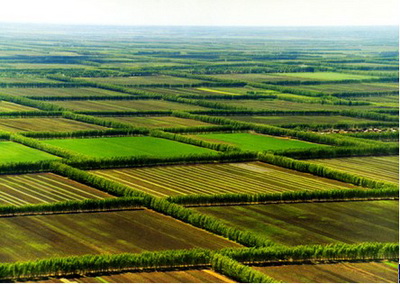 三北防护林工程区累计完成造林保存面积2446.9万公顷，森林覆盖率由1977年的5.05%提高到目前的10.51%