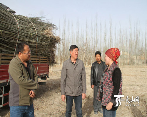 新疆质监住村干部帮茹仙古丽卖树苗