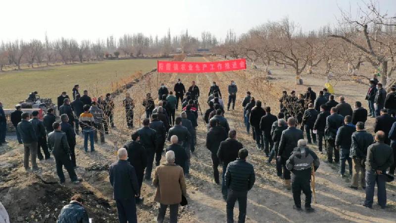 人勤春来早轮台县召开农业生产现场会