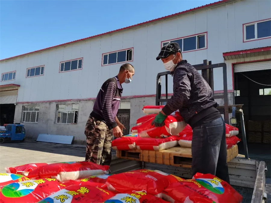 Kaiyun 开云乌鲁木齐市米东区全力做好秋粮收购准备和服务 保障粮食安全(图2)