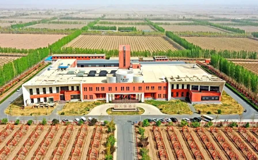 新疆焉耆：酿酒葡萄通过2022年新疆农产品气候品质认证