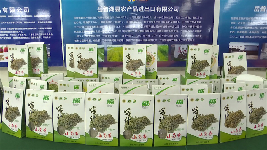 新疆电子礼品市场动态与发展趋势