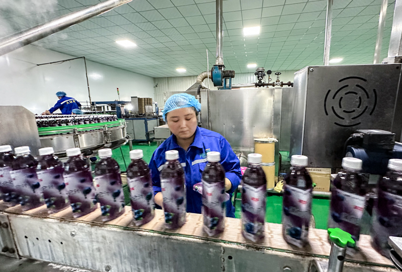 智能生产排程及精益成本解决方案提升企业收益